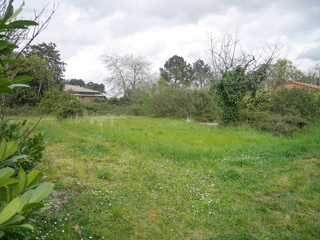 Terrain à LEOGNAN