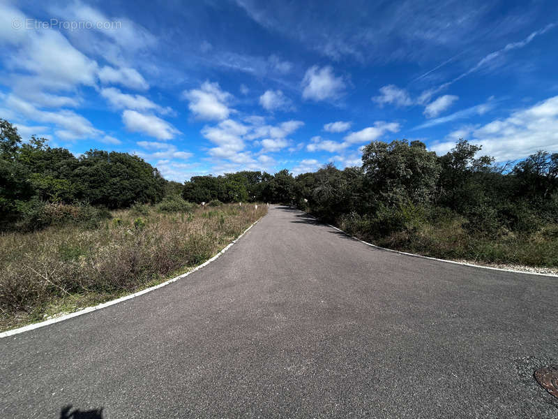 Terrain à GRIGNAN