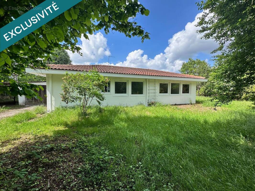 Photo 1 - Maison à OLIVET