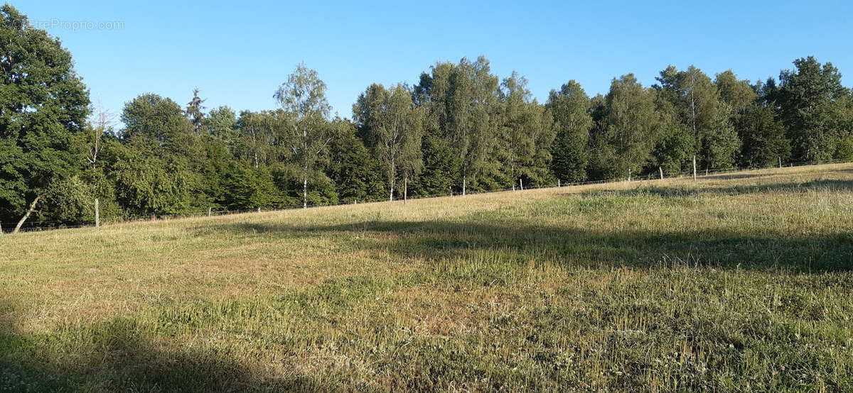 Terrain à HATTIGNY