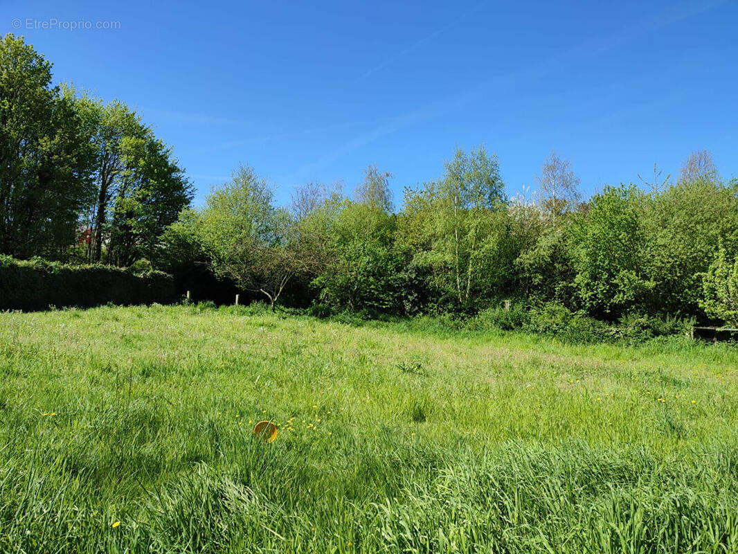 Terrain à LA BOUILLIE