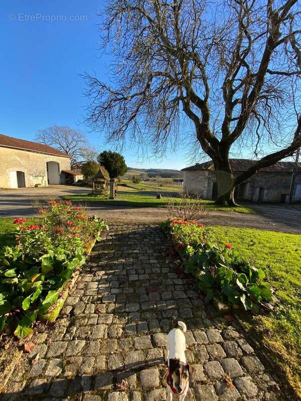 Photo 8 - Maison à CHALAIS