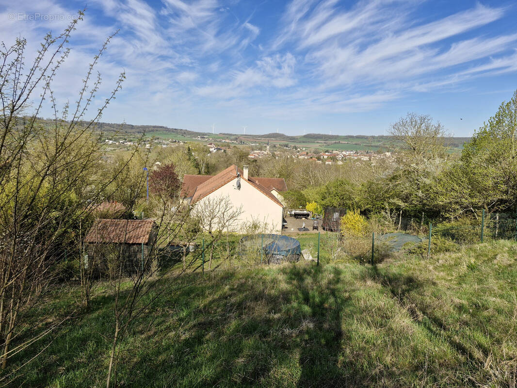 Terrain à CHATEAU-SALINS