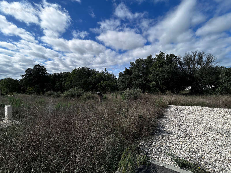 Terrain à GRIGNAN