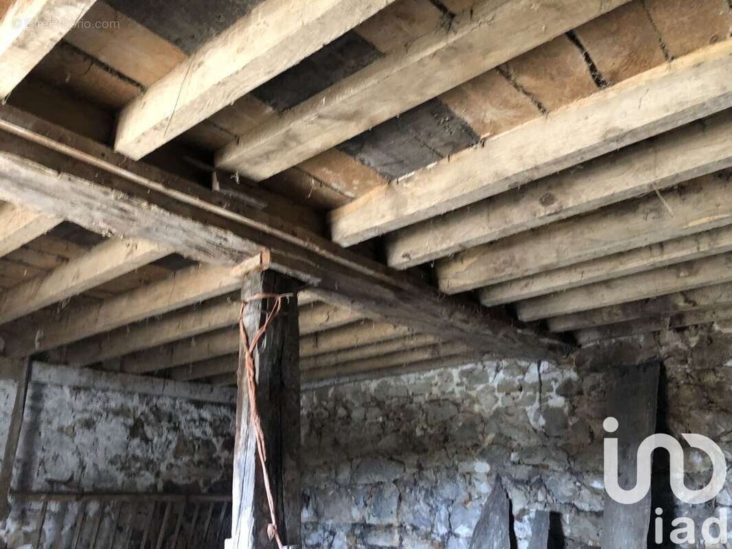 Photo 8 - Maison à LA FERTE-MACE