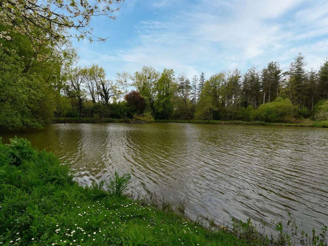 Terrain à PLOERMEL