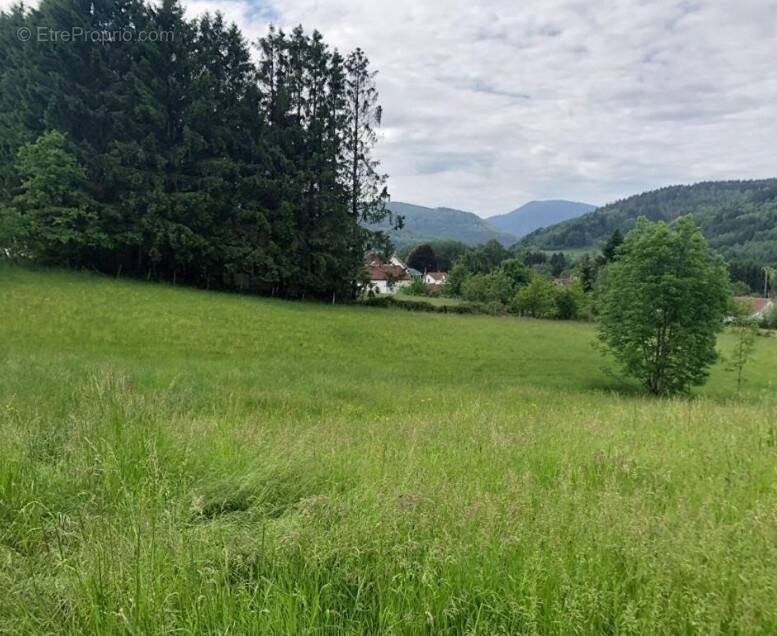 Terrain à FRAIZE