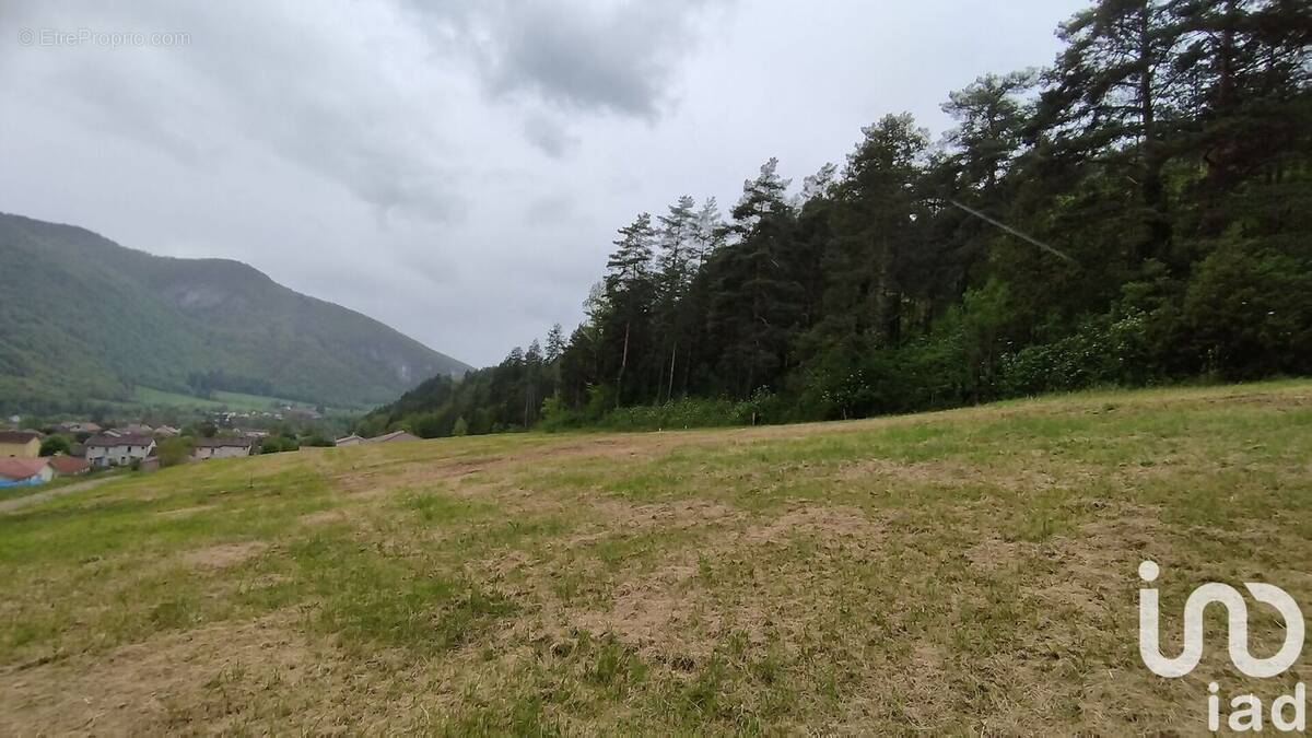 Photo 1 - Terrain à THOIRETTE