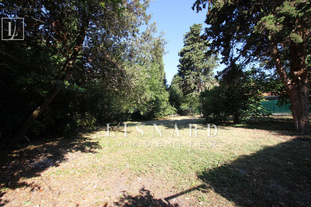 Terrain à VALLAURIS