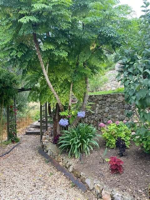 Maison à VALLAURIS