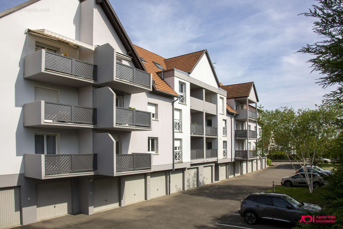 Appartement à BISCHOFFSHEIM