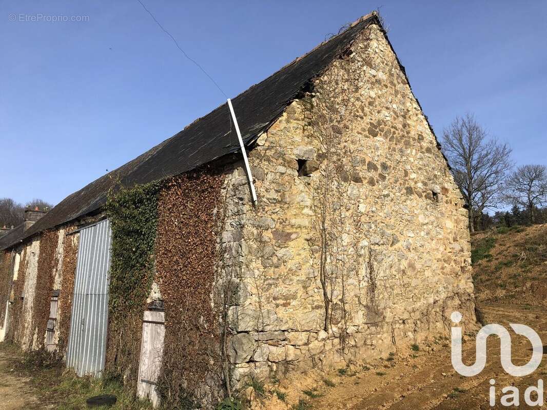 Photo 6 - Maison à LA FERTE-MACE