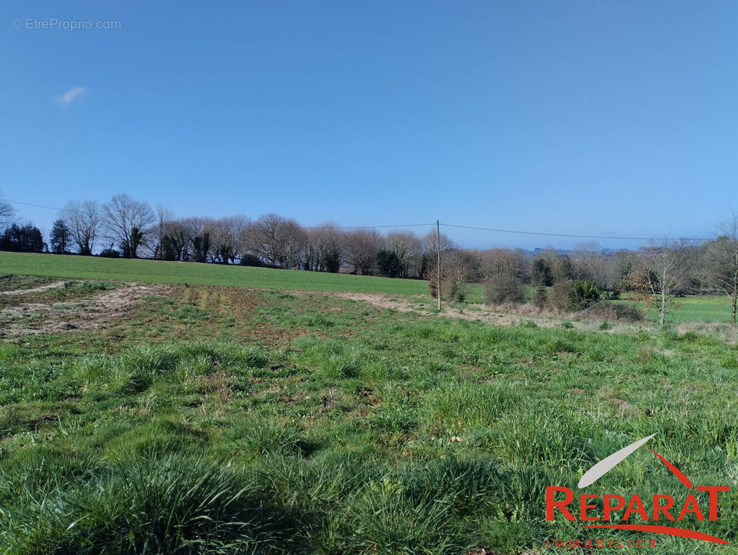 Terrain à VIGNOLS