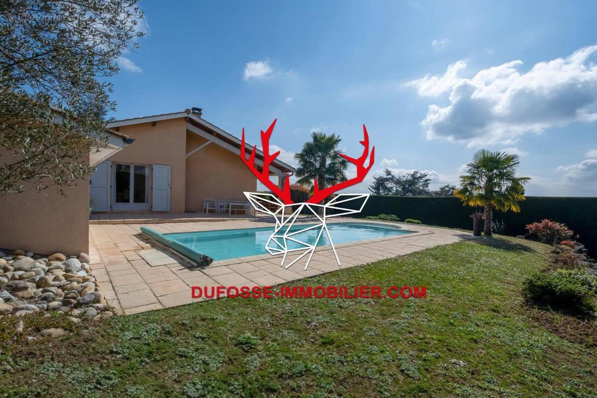 Photo 1 - Maison à JASSANS-RIOTTIER