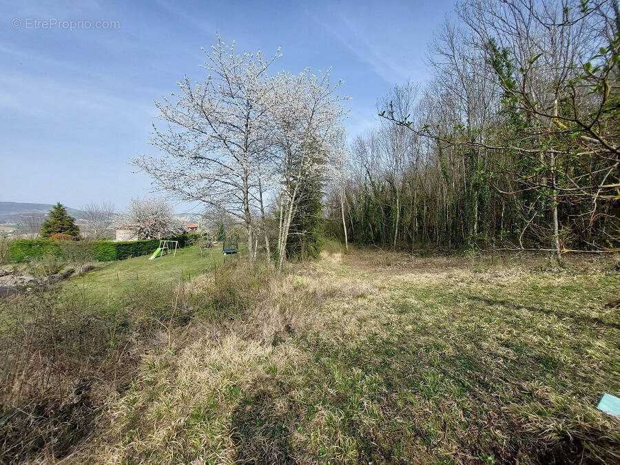 Terrain à SAINT-GEORGES-SUR-ALLIER