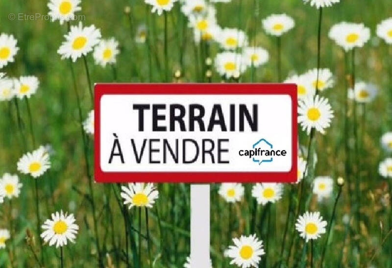 Terrain à VILLEMOISSON-SUR-ORGE