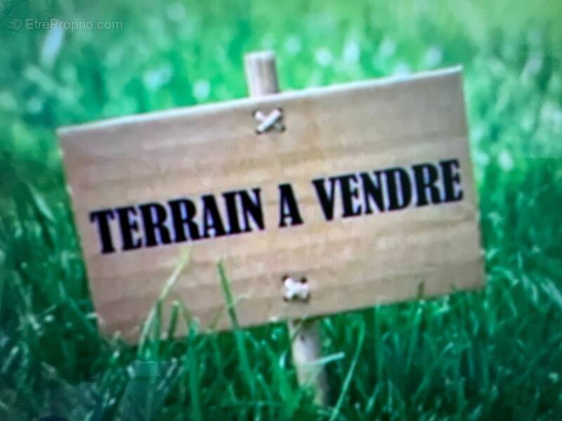 Terrain à NOINTEL