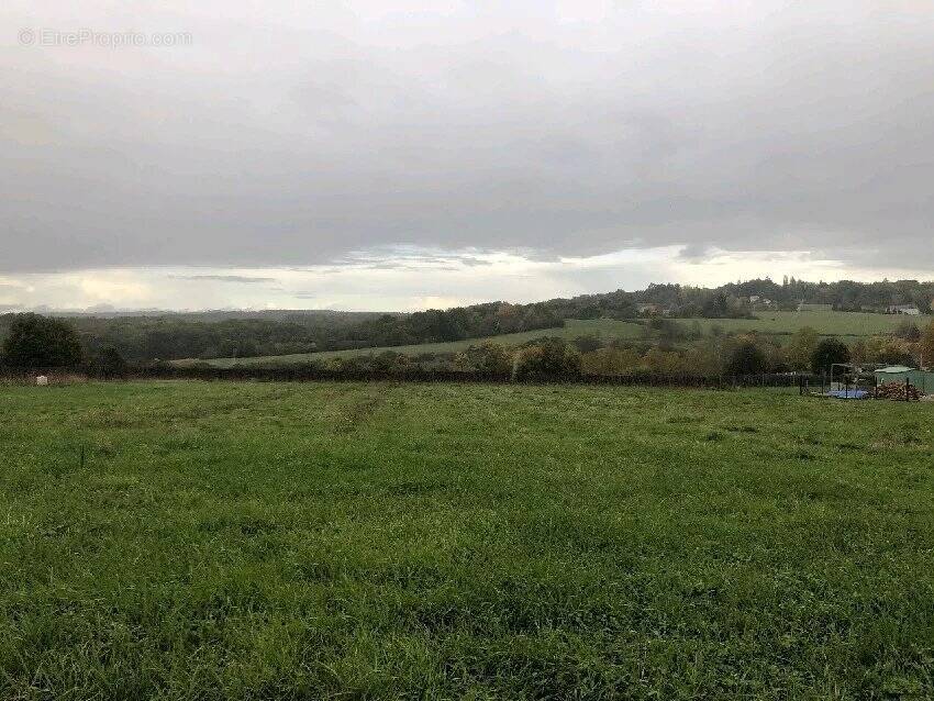 Terrain à LA DOUZE