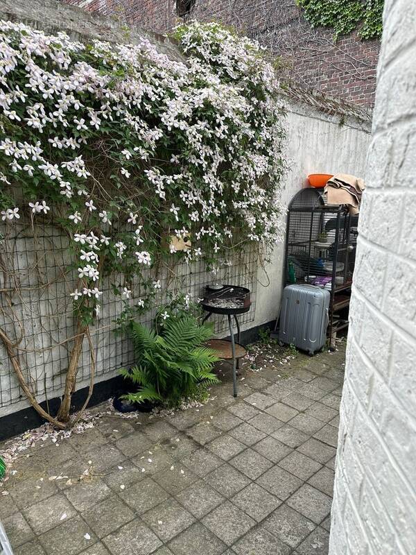 Appartement à LEZENNES