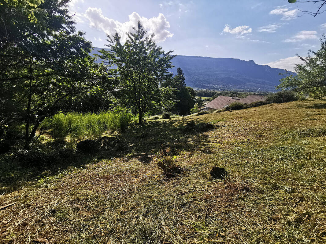 Terrain à VOGLANS