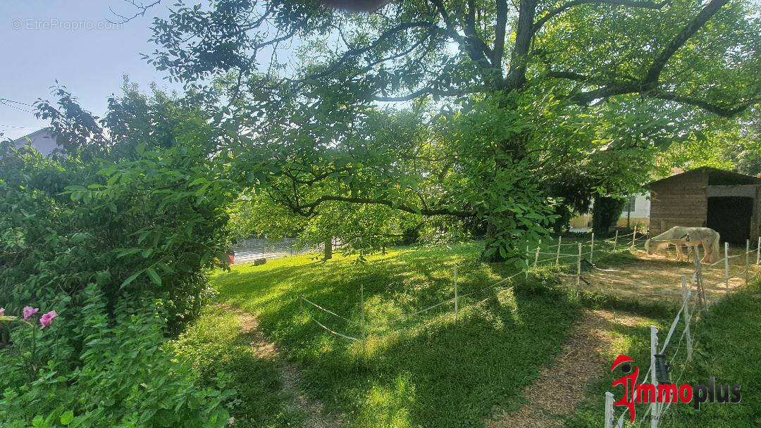 Terrain à MORSCHWILLER-LE-BAS