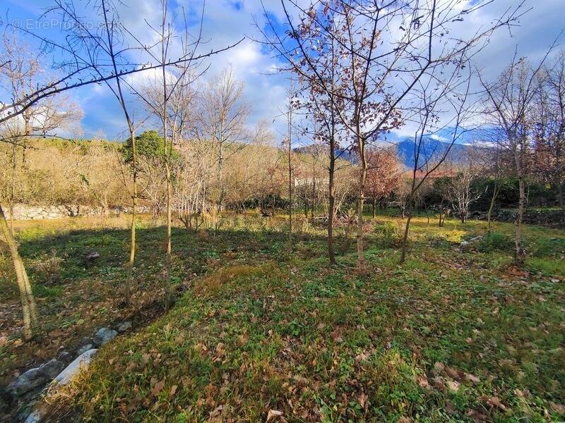 Terrain à CORNEILLA-DE-CONFLENT