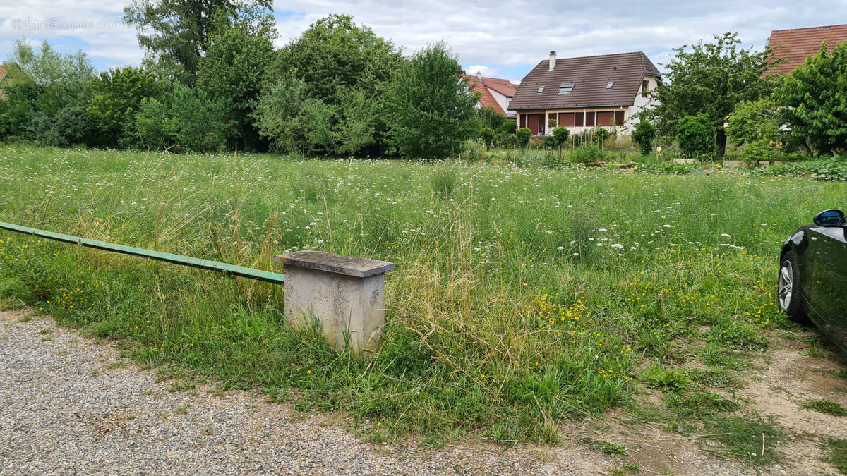 Terrain à SIERENTZ