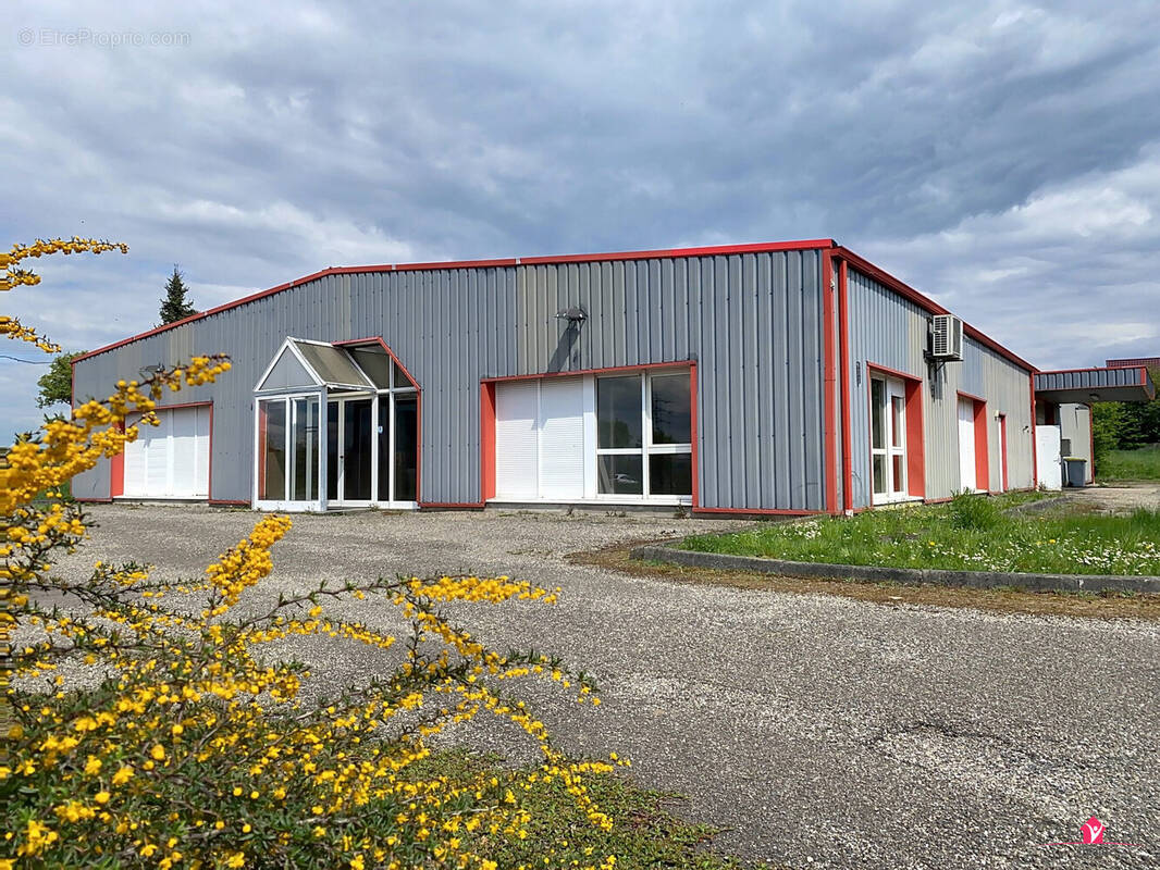 hall d&#039;actiivté à DRULINGEN - Commerce à DRULINGEN