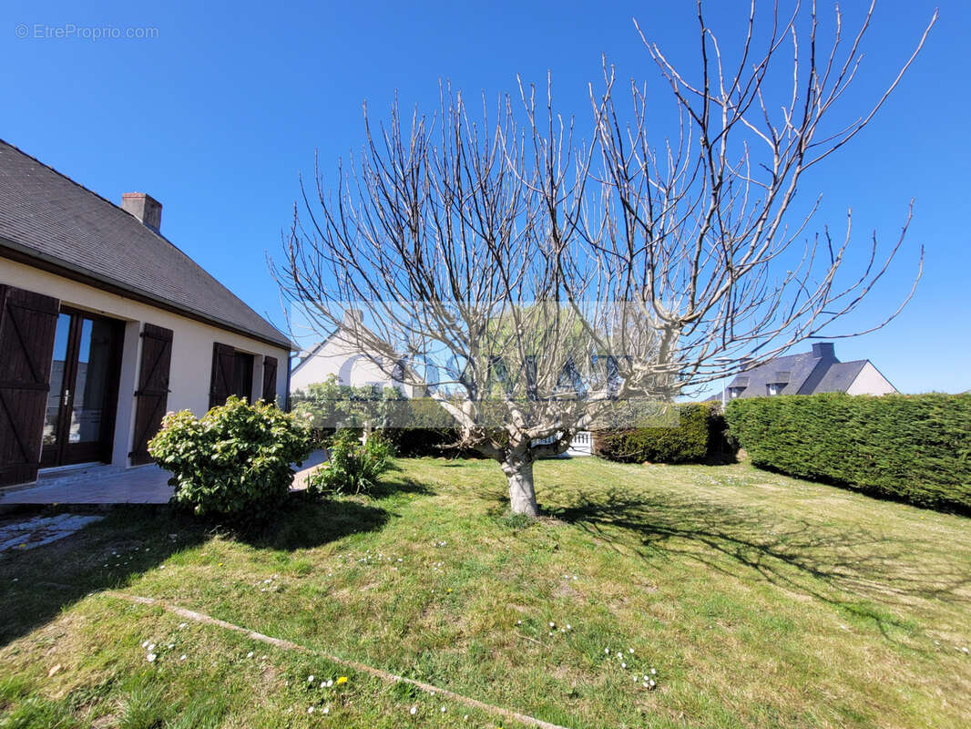 Maison à DAMGAN