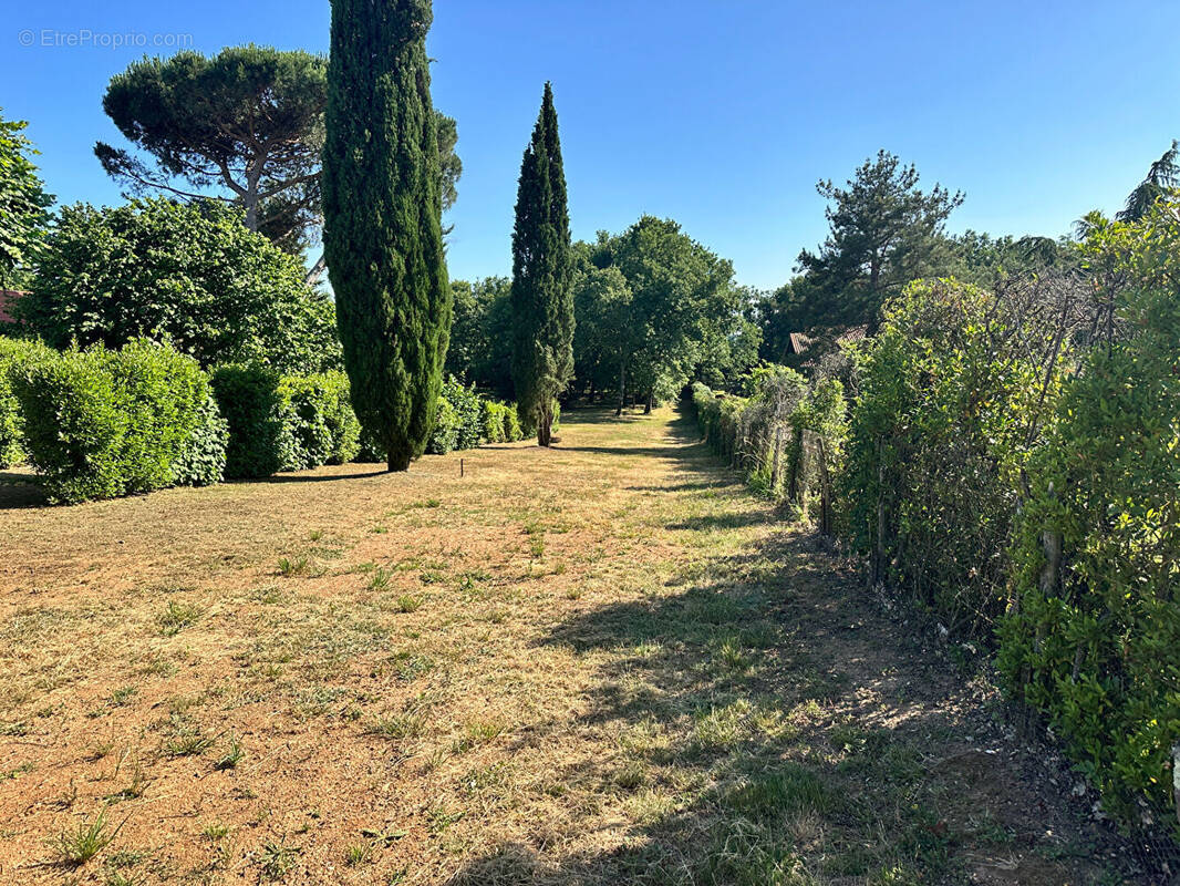 Terrain à MONTAUBAN