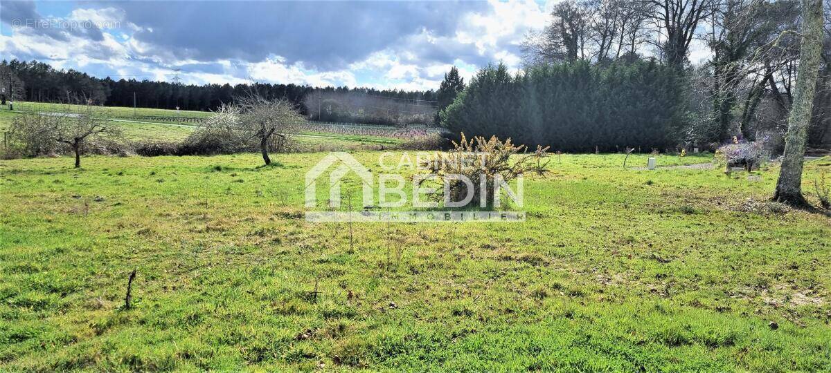 Terrain à LA BREDE