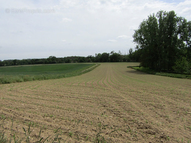 Terrain à CARENTOIR