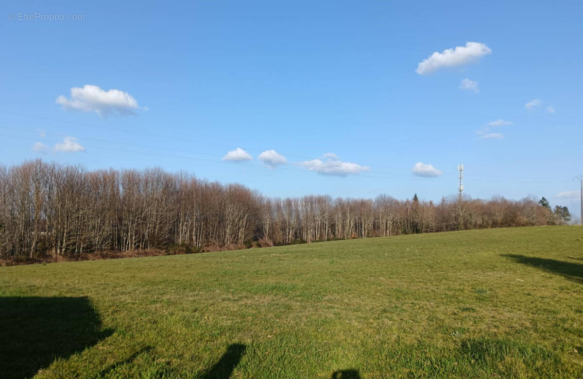 Terrain à SAINT-JOUVENT