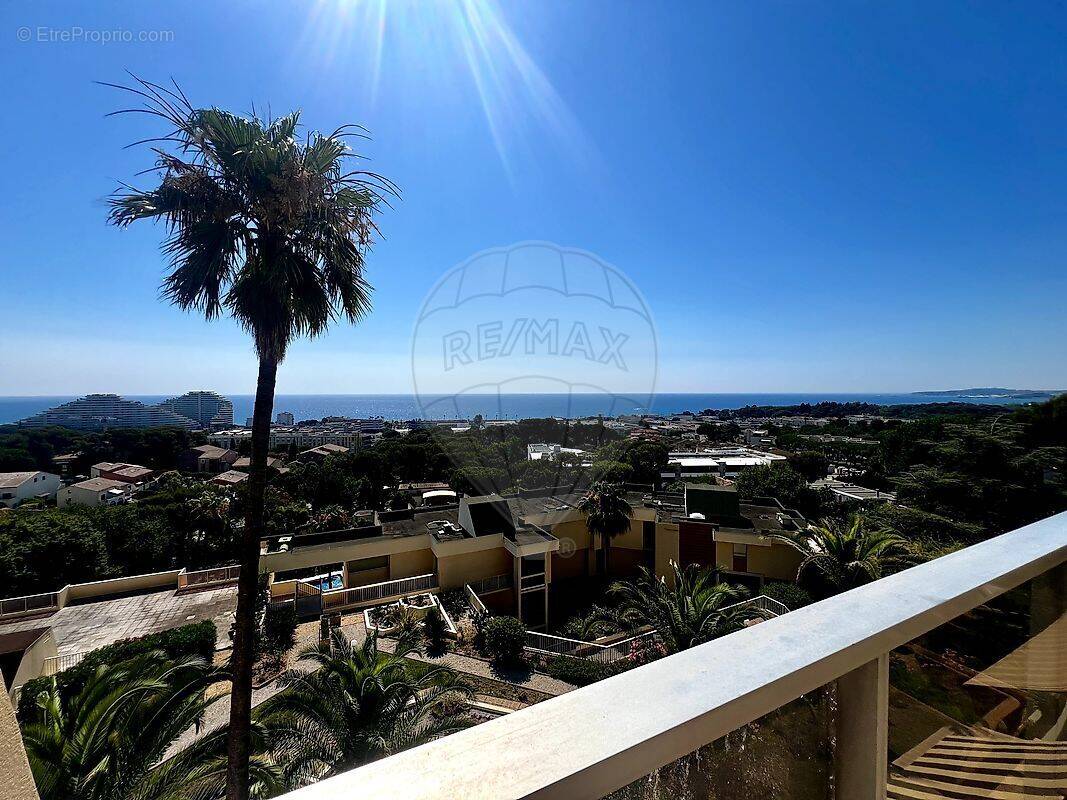 Appartement à VILLENEUVE-LOUBET
