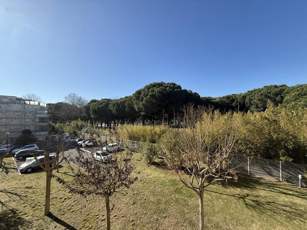 Appartement à LE GRAU-DU-ROI