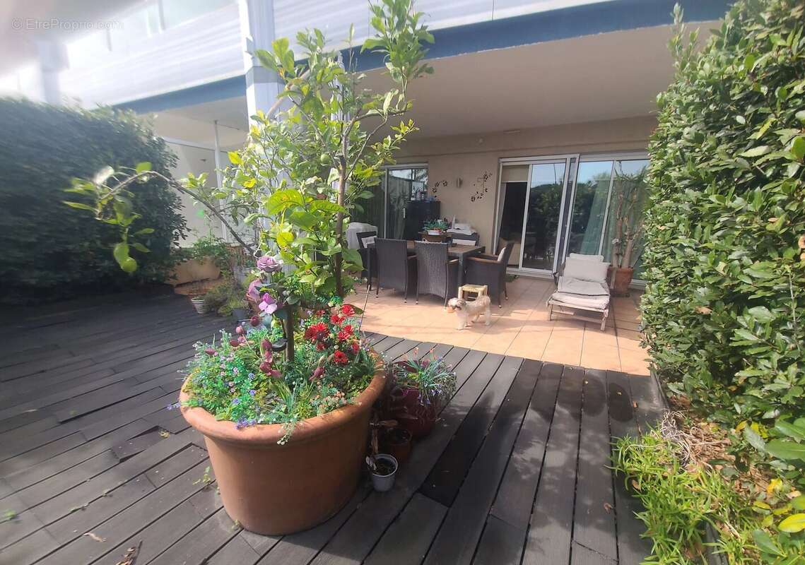 Appartement à VALLAURIS