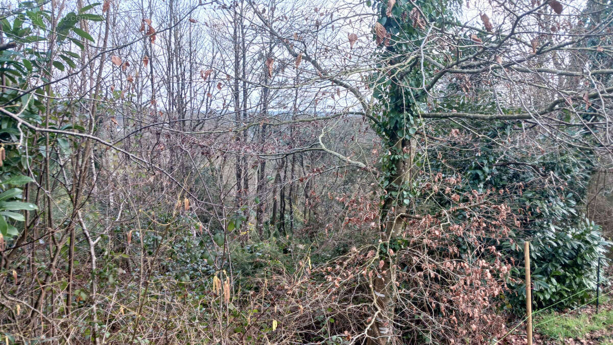 Terrain à LA GACILLY