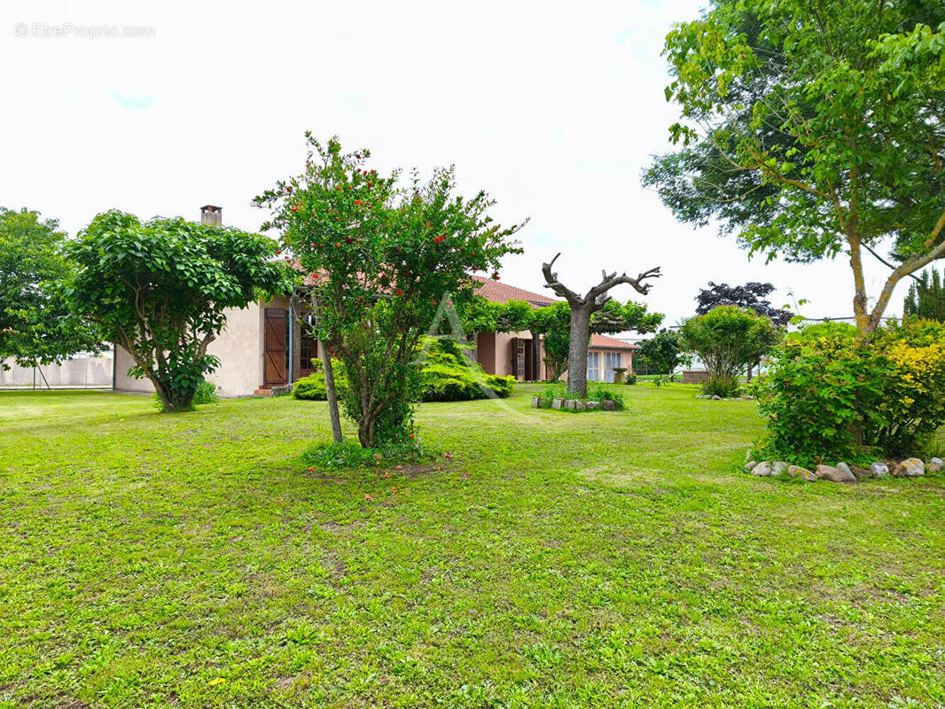 Maison à PLAISANCE-DU-TOUCH