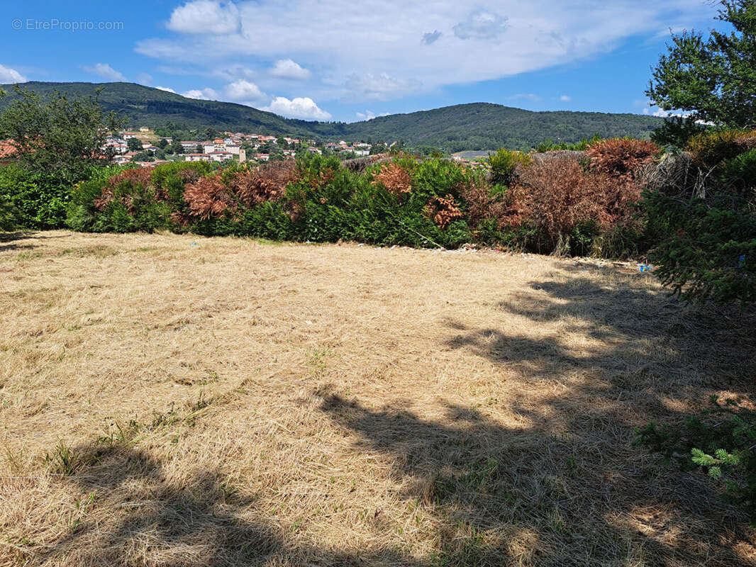 Terrain à SAINTE-CONSORCE