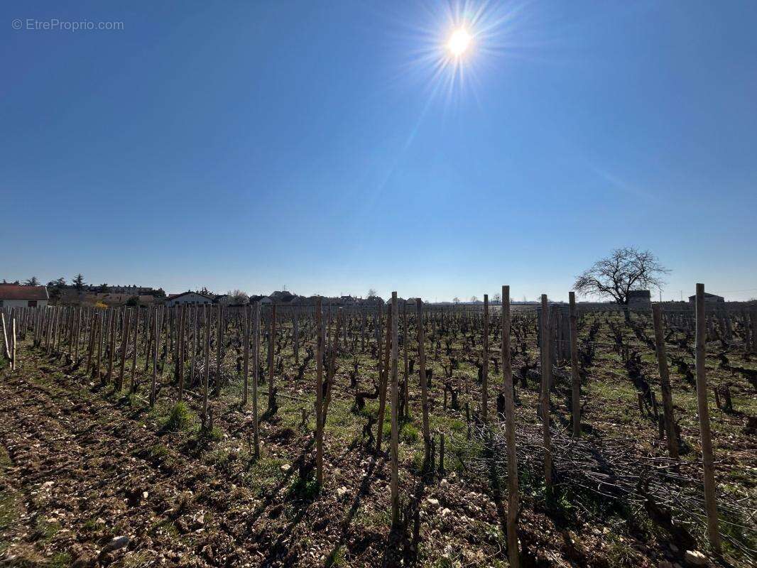 Appartement à GEVREY-CHAMBERTIN
