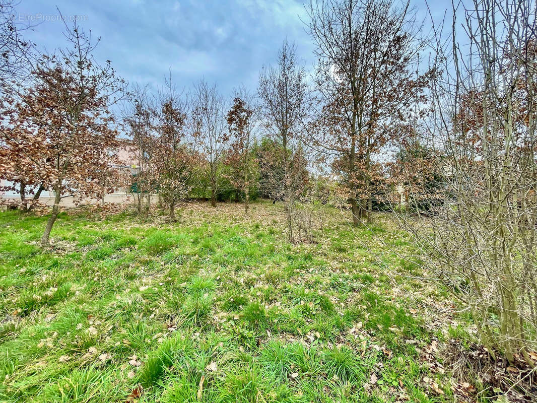 Terrain à GAILLAC