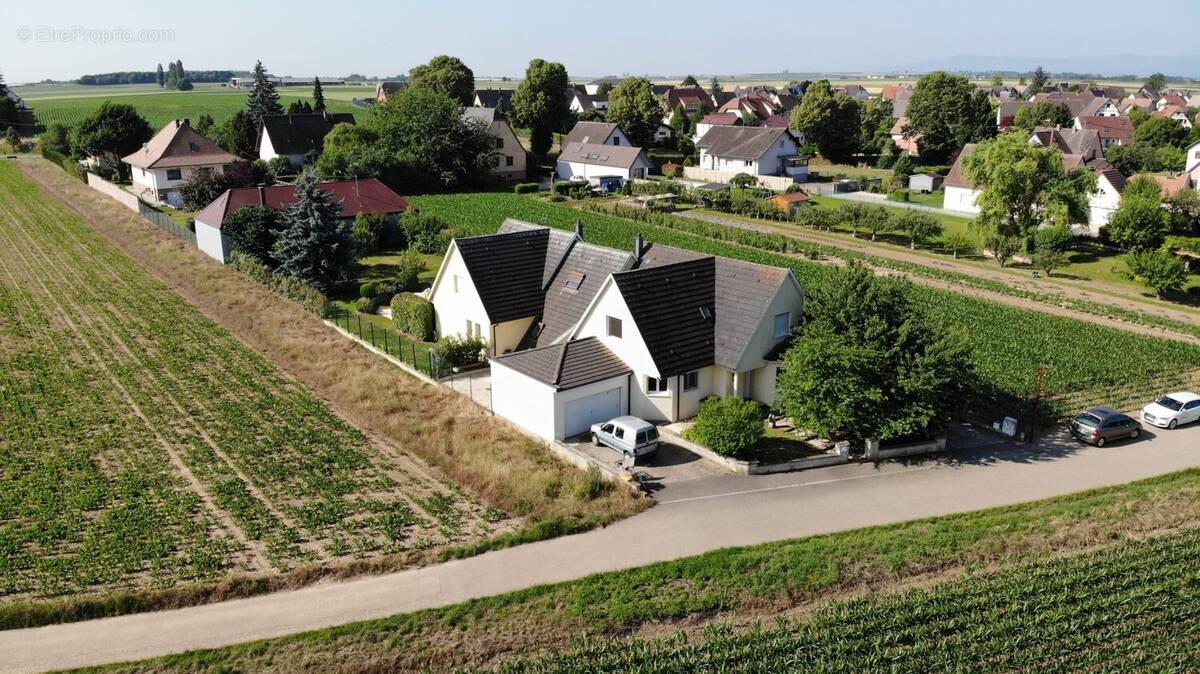 Maison à STUTZHEIM-OFFENHEIM