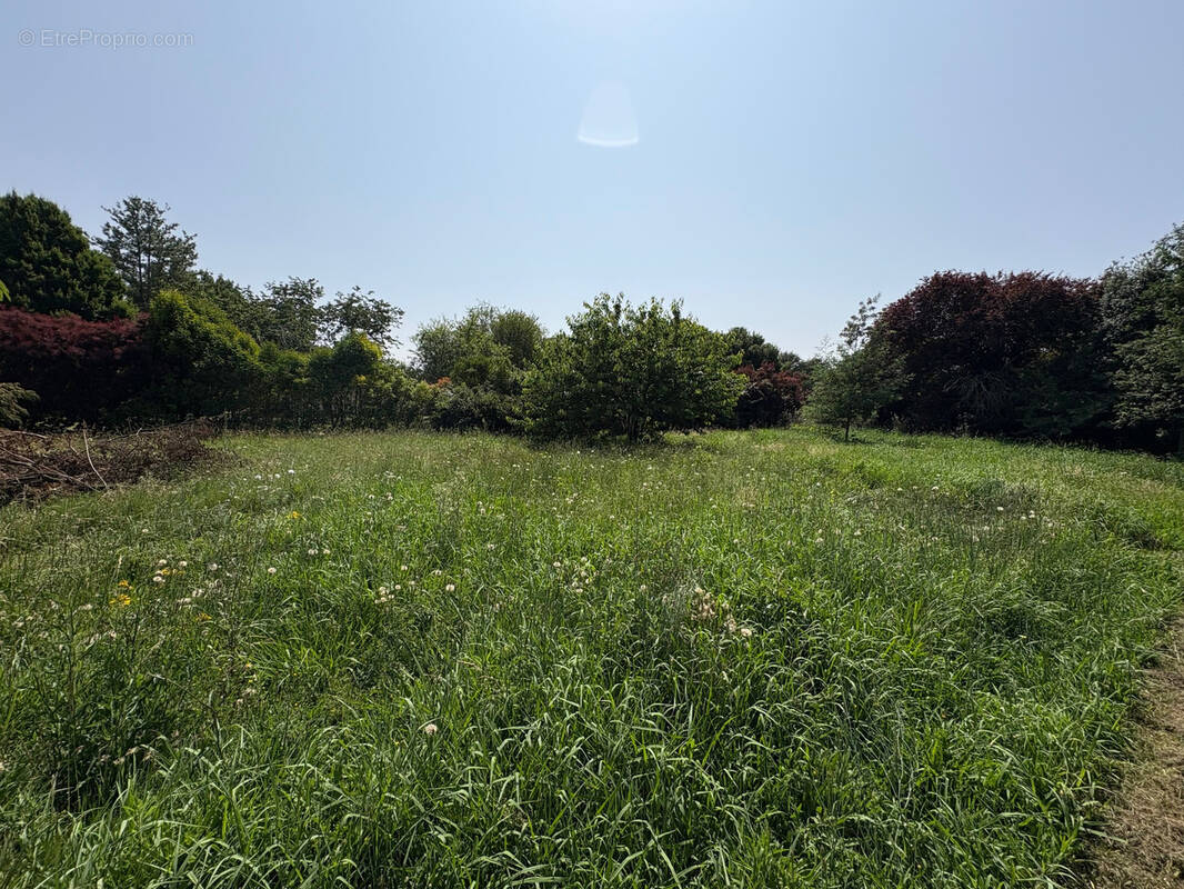 Terrain à FROUZINS