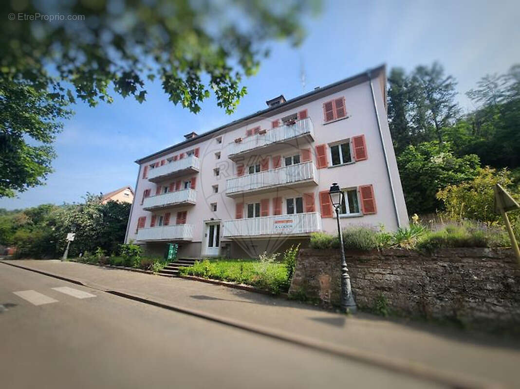 Appartement à RIBEAUVILLE