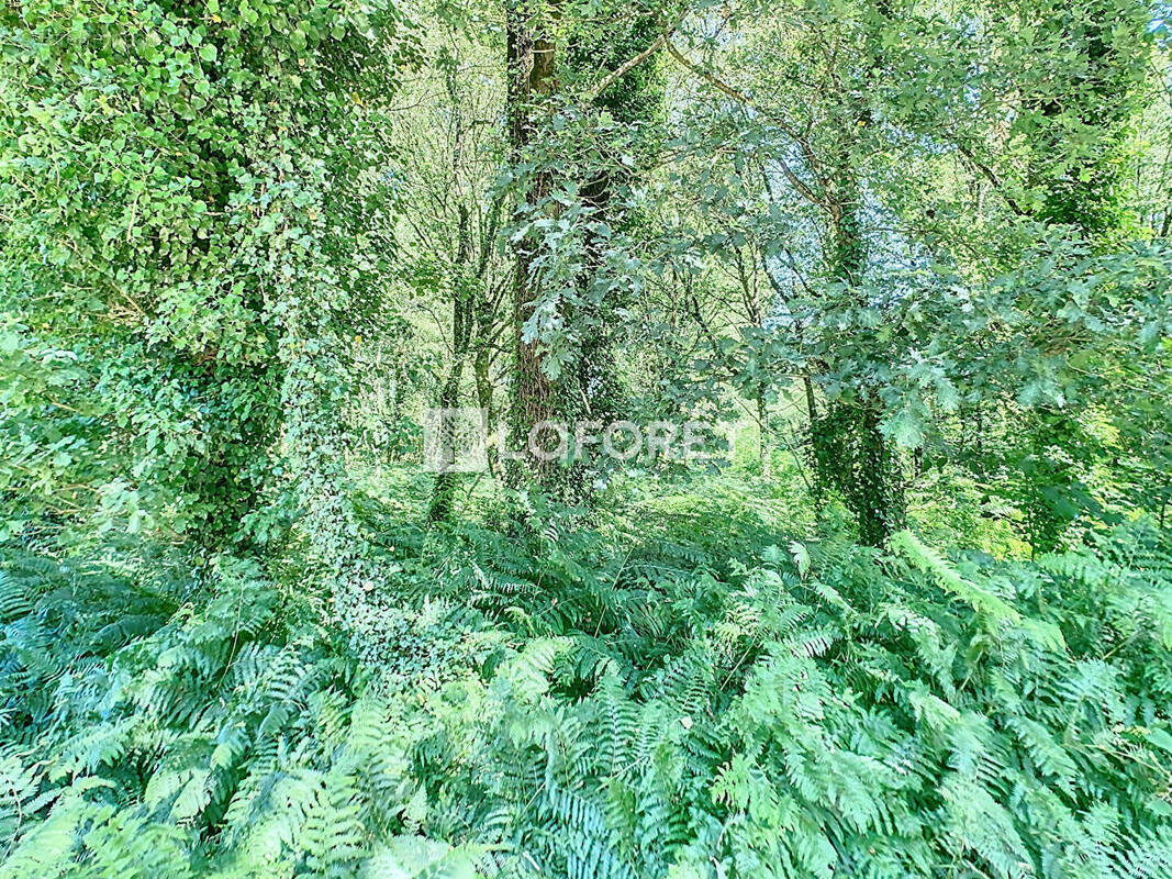 Terrain à MOHON