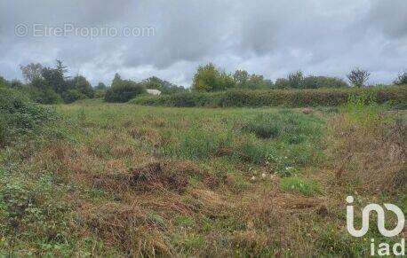Photo 1 - Terrain à SAINT-SULPICE-ET-CAMEYRAC