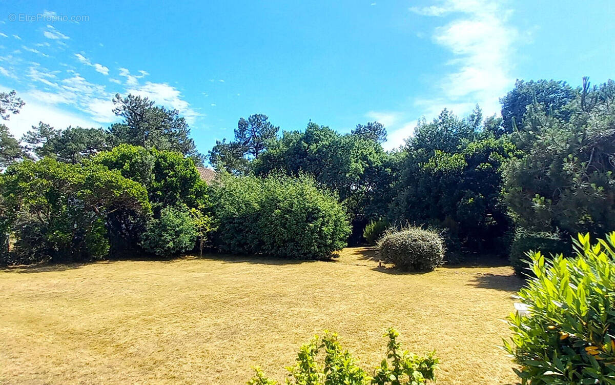 Terrain à VENDAYS-MONTALIVET