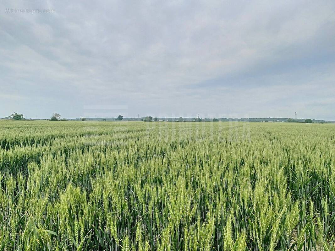 Terrain à TOULOUSE