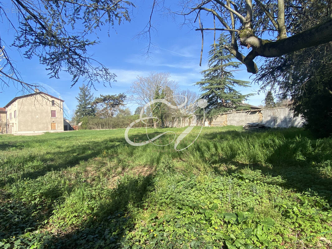 Terrain à ECULLY