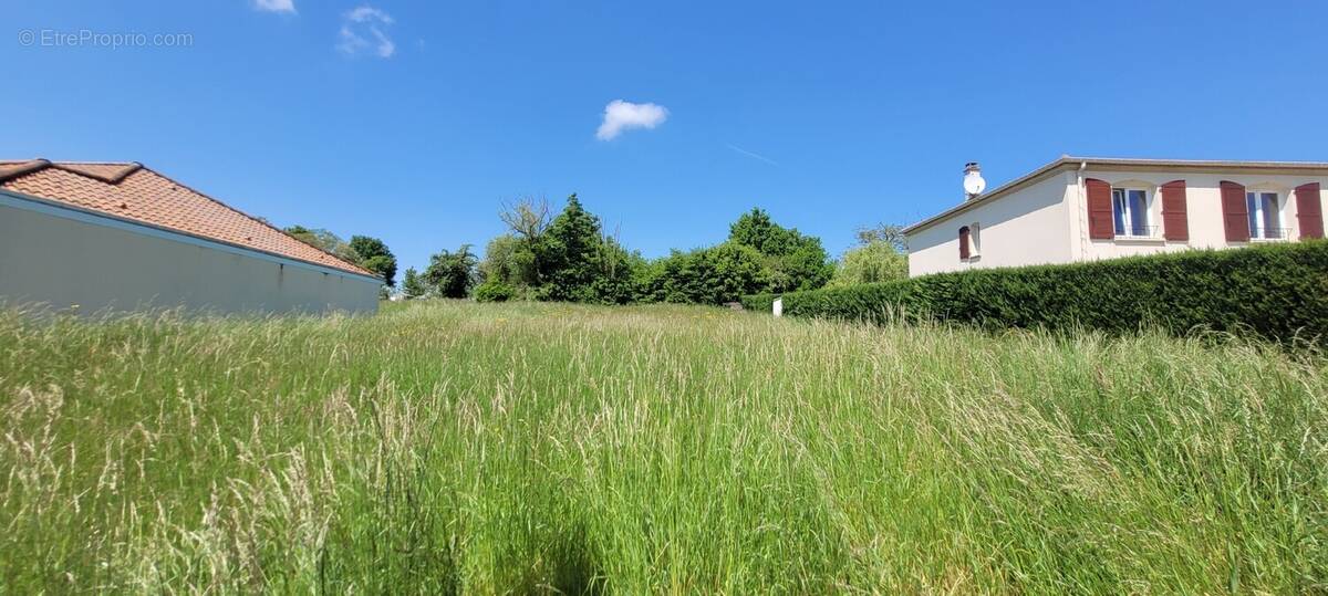 Terrain à CERVILLE